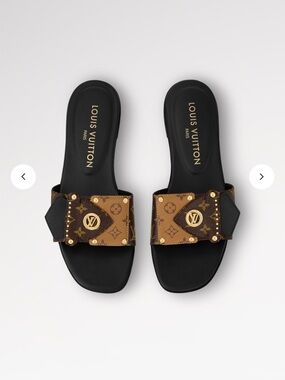 Louis Vuitton Monogram Slide Sandals in Brown and Black with Gold Accents